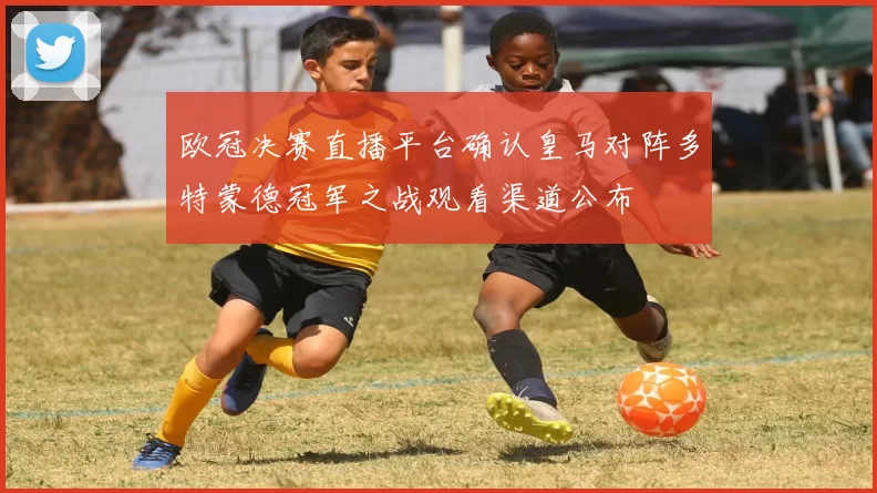 欧冠决赛直播平台确认皇马对阵多特蒙德冠军之战观看渠道公布