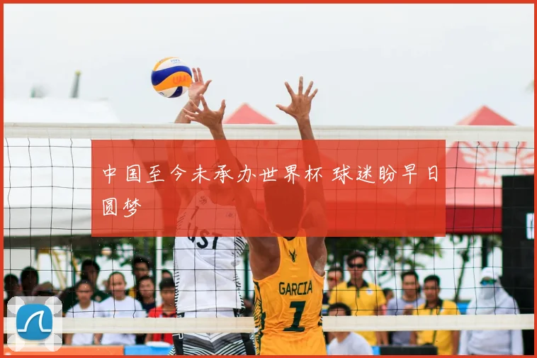 中国至今未承办世界杯 球迷盼早日圆梦
