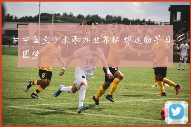 中国至今未承办世界杯 球迷盼早日圆梦